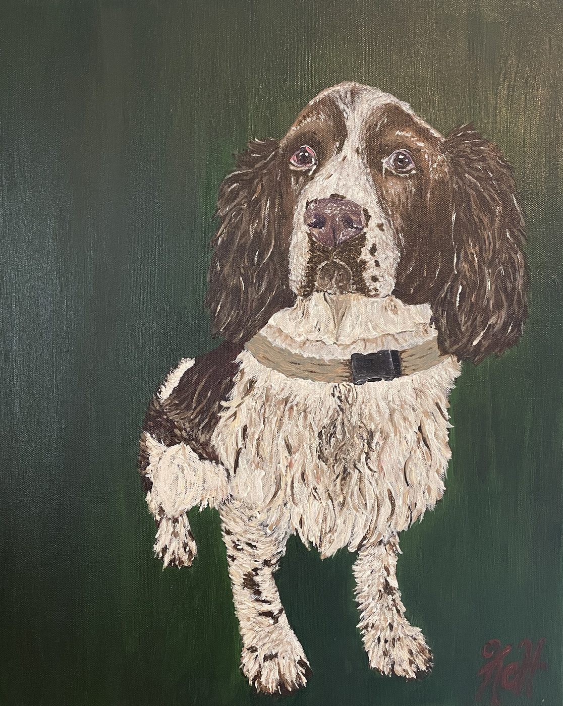 Painting of a brown and white springer spaniel on dark green